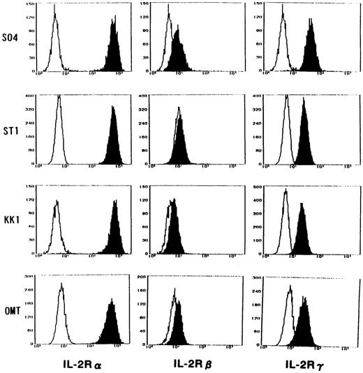 Fig. 4. Expression of IL-2R α, β, and γ chains on the surface of ATL cell lines. All cell lines expressed the components of IL-2R, with the strongest expression of α, medium expression of γ, and minimum expression of β. Closed histograms indicate the cells incubated with MoAbs against each component of IL-2R. Open histograms indicate the cells incubated with a control MoAb.
