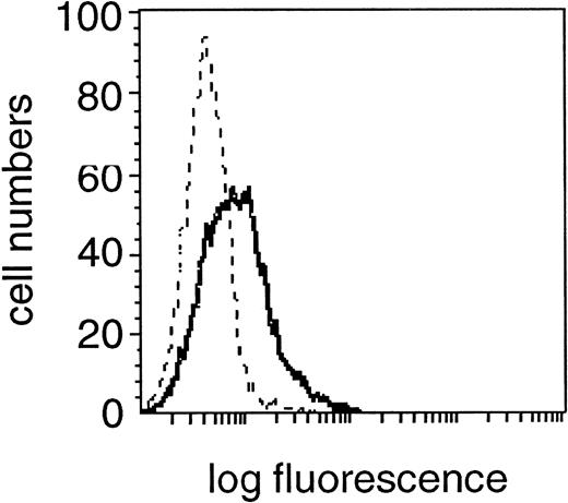 Fig. 4. Expression of FasL (CD95L) in the CD19+cell fraction of one representative B-CLL patient. Fixed and permeabilzed PBMC were double-stained with the specific anti-FasL MoAb and CD19 MoAb and characterized for specific staining by means of flow cytometry. A shift in fluorescence intensity was observed in samples stained with the specific anti-FasL MoAb (solid line) compared with samples stained with the relevant isotype control MoAb (dashed line). A flow cytometric profile from one experiment from a single donor, representative of 30 experiments from different donors is shown.