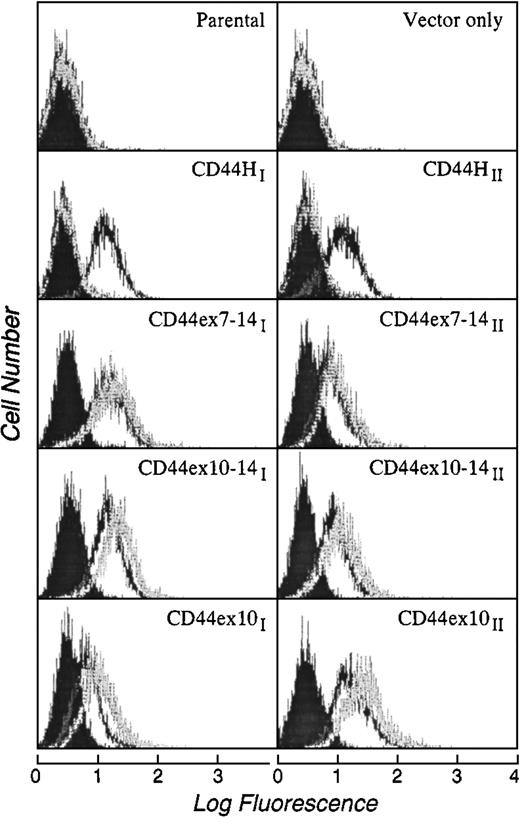 Fig. 2. Immunofluorescence analysis of Namalwa transfectants expressing CD44H, CD44ex7-14, CD44ex10-14, CD44ex10, or vector only. Two independently derived representative Namalwa transfectants expressing each of the CD44 variants used (CD44HI and II, CD44ex7-14I and II, CD44ex10-14I and II, CD44ex10I and II) or vector alone were phenotyped with MoAbs directed against a conserved framework CD44 epitope (solid line), an 8aa sequence encoded by CD44ex10/v6 (dotted line), or an isotope-matched negative control antibody (shaded black). CD44H transfectants reacted with the CD44 framework antibody but not the CD44ex10 (v6) antibody whereas CD44ex10, CD44ex10-14, and CD44ex7-14 transfectants reacted with both antibodies. Vector-only transfectants reacted with neither CD44 antibody.
