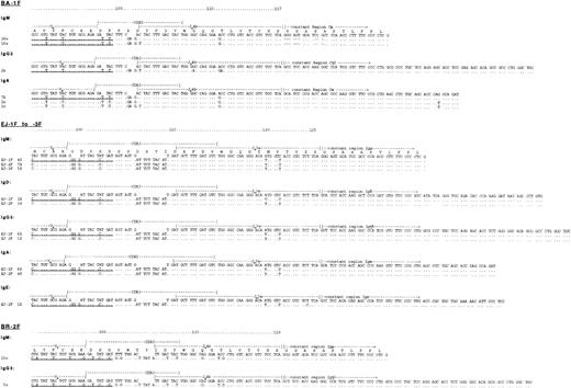 Fig. 2. Identification of clonally related multiple isotype transcripts in the three tumors. Aligned are the tumor-derived sequences from the patient-specific primer sequence through CDR3 to the constant regions. Sequence identity to germline is indicated by dots in each sequence, each mutation by the appropriate nucleotide. The underlined sequences show the patient specific 5′ primers constructed for each case separately.