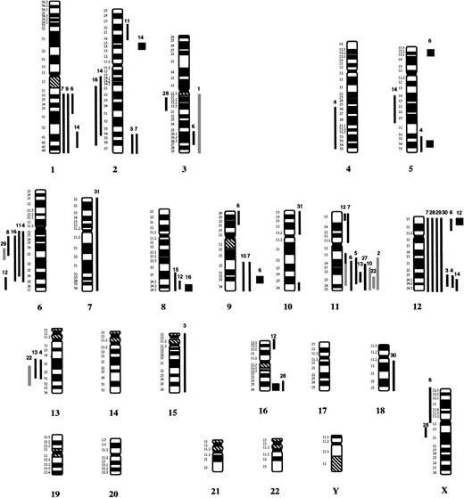 Fig. 1. Summary of chromosomal imbalances detected by CGH in 31 patients with large B-cell lymphomas of the GI tract. Lines on the left indicate loss of chromosomal material, lines on the right refer to gains of chromosomal material. Squares represent high-level DNA amplifications. Gray lines indicate cases, in which the ratio profiles showed a clear shift toward underrepresentation or overrepresentation; however, the diagnostic thresholds were not reached. In these patients aberrations were confirmed by interphase cytogenetic analysis. The numbers on top of each line refer to the patient analyzed.