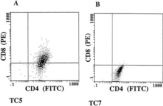Fig. 6. TC5 and TC7 have a CD4+CD8dim+ and CD4+CD8− phenotype. Double immunostaining flow-cytometric analysis was performed, using an FITC-conjugated anti-CD4 MoAb, and a PE-conjugated anti-CD8 MoAb.