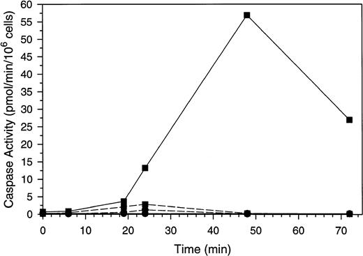 Fig. 7. Caspase activation by GW1843 in the presence and absence of Ac-DEVD-CHO. Cells were treated for the indicated times with 8 nmol/L GW1843 alone (▪) or in combination with 50 μmol/L Ac-DEVD-CHO (•). Aliquots were collected and assayed for caspase 3–like activity with Ac-DEVD-AMC as the substrate (solid lines) or ICE-like activity using Ac-YVAD-AMC as the substrate (dashed lines). Assays were performed as described in Materials and Methods. The data in these plots are from a representative experiment from three separate determinations.