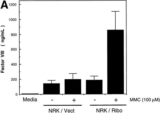 Fig. 5. GRP94 expression in vivo. (A) Enhanced factor VIII secretion by inactivation of GRP94. NRK-Vect and NRK-Ribo cells transfected with pMT2-factor VIII were analyzed for their ability to secrete factor VIII in the presence or absence of MMC. (B) Invariant GRP94 levels in parental and complemented FA-C cells. Lysates of parental HSC536 and HSC536-FAC cells were analyzed by immunoblotting with anti-GRP94 antibody. Each lane contained 10 μg protein as determined by the Bradford assay.