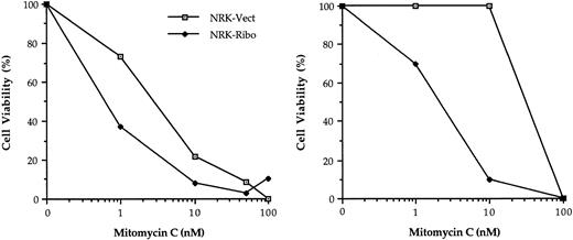Fig. 6. GRP94 inactivation induces sensitivity to MMC. NRK-Vect or NRK-Ribo cells treated with the indicated concentrations of MMC were analyzed after 5 days for the presence of viable cells by trypan blue staining. Two independent experiments are shown. Values represent the mean of triplicates.