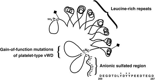 Fig. 2. The GP Ibα N-terminus with the regions shown to be important for vWF binding. Asterisks indicate that the tyrosines are sulfated.