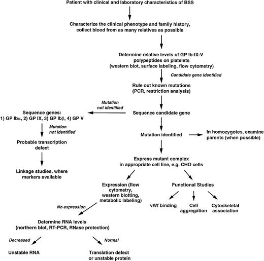 Fig. 4. Algorithm for determining the genetic basis of BSS. Details are given in the text.