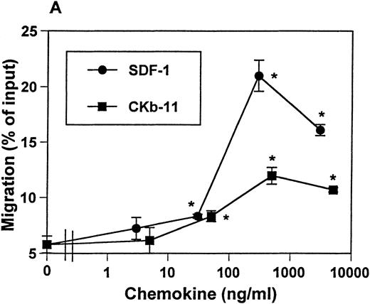 Fig. 1. Chemotactic preferences of SDF-1 and CKβ-11/MIP-3β/ELC for thymocyte subsets. Effects on total thymocytes (A), CD4+ SP (B), DP (C), DN (D), and CD8+ SP (E) cells are shown. Thymocyte isolation and chemotaxis assays were performed as described in the Materials and Methods. Thymocytes depleted of non-T cells were used as input cells for chemotaxis. Numbers of cells migrating to the lower chamber were expressed as the percentage of input thymocytes in the upper chamber at the start time of chemotaxis. Data are expressed as the mean (±difference) of the percentage of cell migration obtained from duplicated experiments and are representative of 5 independent experiments. *Significant differences (P < .05) from background migration.