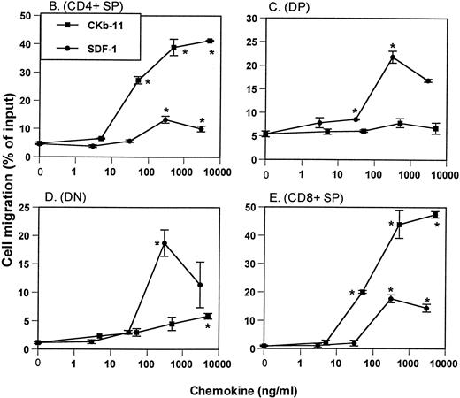 Fig. 1. Chemotactic preferences of SDF-1 and CKβ-11/MIP-3β/ELC for thymocyte subsets. Effects on total thymocytes (A), CD4+ SP (B), DP (C), DN (D), and CD8+ SP (E) cells are shown. Thymocyte isolation and chemotaxis assays were performed as described in the Materials and Methods. Thymocytes depleted of non-T cells were used as input cells for chemotaxis. Numbers of cells migrating to the lower chamber were expressed as the percentage of input thymocytes in the upper chamber at the start time of chemotaxis. Data are expressed as the mean (±difference) of the percentage of cell migration obtained from duplicated experiments and are representative of 5 independent experiments. *Significant differences (P < .05) from background migration.