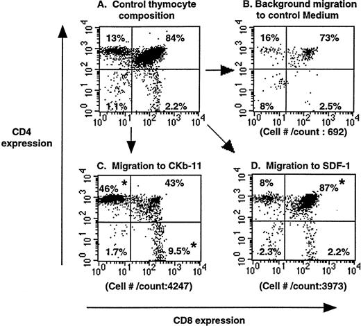 Fig. 2. Chemoattraction of thymocytes from thymuses (organ chemotaxis) by SDF-1 and CKβ-11/MIP-3β/ELC. Thymocytes in thymus before chemotaxis (A) and thymocytes migrating to control medium (B), CKβ-11/MIP-3β/ELC (C), and SDF-1 (D) are shown. Total cell numbers per count for 30 seconds by FACscan and the percentage of each subset in total thymocytes, representative of 4 experiments, are shown. Thymus organ chemotaxis assays were performed as described in the Materials and Methods. Migrated thymocytes were stained with anti–CD4-TriColor and anti–CD8-FITC, acquired for 30 seconds, and analyzed by FACscan. The mean composition (±SD) of the 4 thymocyte subsets from the 4 experiments is 12.1 ± 0.6 (CD4+ SP), 83.8 ± 2.8 (DP), 2.8 ± 0.6 (DN), and 2.6 ± 0.7 (CD8+SP) for control thymocyte suspension; 11.2 ± 1.9 (CD4+SP), 80.2 ± 2.8 (DP), 5.6 ± 2.3 (DN), and 3.0 ± 0.7 (CD8+ SP) for those attracted to SDF-1; and 50.1 ± 9.8 (CD4+ SP), 30.7± 8.8 (DP), 2.4 ± 0.8 (DN), and 16.9 ± 3.2 (CD8+ SP) for those attracted to CKβ-11/MIP-3β/ELC. *Significant differences (P < .05) from control thymocyte subset composition.