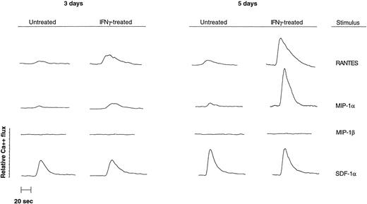 Fig. 1. IFN-γ–mediated increase of transient calcium flux in response to RANTES (ligand to CRs, including CCR1, CCR3, CCR4, and CCR5), MIP-1α (ligand to CRs, including CCR1, CCR4, and CCR5), MIP1-β (a ligand to CCR5), and SDF-1 (a ligand to CXCR4) as assessed in U937 cells. Fluorescence of bound versus unbound intracellular calcium in response to chemokines as depicted was analyzed by flow cytometry14 3 (left panel) and 5 days (right panel) after treatment with IFN-γ, as compared with untreated control cells (representative of 5 independent experiments).