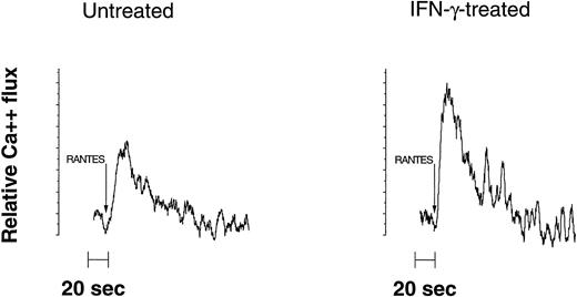 Fig. 2. Flow cytometrical detection of IFN-γ–mediated increased transient calcium flux response to RANTES in cells derived from elutriated monocytes from a healthy, HIV-seronegative donor. Untreated cells (depicted in the left panel) were compared with IFN-γ pretreated cells (right panel) in their response to 50 ng/mL RANTES (R&D Systems Inc). Fluorescence of bound versus unbound intracellular calcium in response to the chemokine was detected 5 days after treatment. The pattern of response is representative for analysis of monocytes derived from 6 subjects.