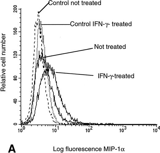 Fig. 4. Flow cytometry assessment of HIV receptor cell surface expression on U937 cells. Cell surface CR expression was increased after treatment with IFN-γ as determined by labeling with MIP-1α. Enhanced binding of MIP-1β was detected on cells pretreated with IFN-γ, as compared with untreated controls. CXCR4 expression remained unchanged, independent of pretreatment, as assessed with specific anti-CXCR4 monoclonal antibodies. CD4 expression on U937 cells was not altered by exposure to IFN-γ.