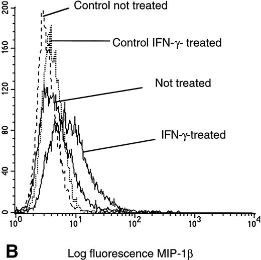 Fig. 4. Flow cytometry assessment of HIV receptor cell surface expression on U937 cells. Cell surface CR expression was increased after treatment with IFN-γ as determined by labeling with MIP-1α. Enhanced binding of MIP-1β was detected on cells pretreated with IFN-γ, as compared with untreated controls. CXCR4 expression remained unchanged, independent of pretreatment, as assessed with specific anti-CXCR4 monoclonal antibodies. CD4 expression on U937 cells was not altered by exposure to IFN-γ.