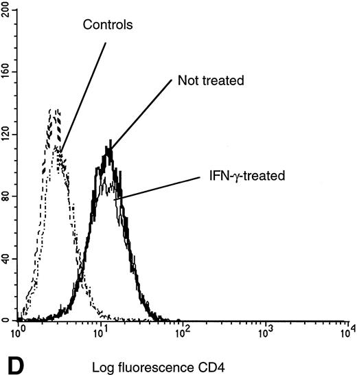 Fig. 4. Flow cytometry assessment of HIV receptor cell surface expression on U937 cells. Cell surface CR expression was increased after treatment with IFN-γ as determined by labeling with MIP-1α. Enhanced binding of MIP-1β was detected on cells pretreated with IFN-γ, as compared with untreated controls. CXCR4 expression remained unchanged, independent of pretreatment, as assessed with specific anti-CXCR4 monoclonal antibodies. CD4 expression on U937 cells was not altered by exposure to IFN-γ.