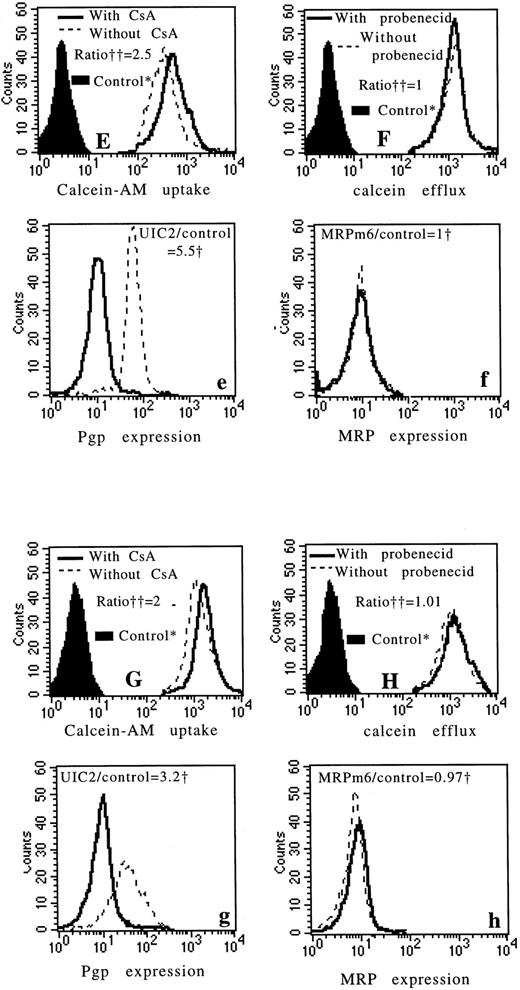 Fig. 6. Four examples of fresh leukemic samples. The first example is a sample with high Pgp expression (a) and with high MRP expression (b) (measured by flow cytometry). There is an important modulatory effect of CsA on calcein-AM uptake (A) and an important effect of probenecid on calcein efflux (B). The second example is a sample with no Pgp expression (c) and with a weak MRP expression (d). There is no modulatory effect of CsA on calcein-AM uptake (C) and a little modulatory effect of probenecid on calcein efflux (D). The third and fourth examples are samples with high Pgp expression (e and g) and no MRP expression (f and h). In these two examples, there is an important modulatory effect of CsA on calcein-AM uptake (E and G) and no modulatory effect of probenecid on calcein efflux (F and H). *Controls: autofluorescence of the cells that were not exposed to calcein-AM. †We used the ratio of MDR MoAbs (UIC2 or MRPm6) fluorescence divided by control MoAbs (mouse isotype-matched control MoAbs, IgG2A for UIC2 and IgG1 for MRPm6) fluorescence. ††All the data were calculated as the ratio of drug fluorescence with modulator divided by drug fluorescence without modulator after subtraction of the fluorescence of the control.
