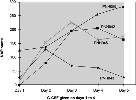 Fig. 1. Graph showing the pattern of increase in the NAP score on peripheral blood neutrophils in the four PNH patients during administration of G-CSF.