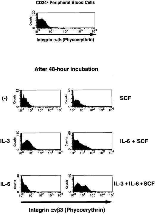 Fig. 1. Flow cytometric analysis of integrin αvβ3 expression on human CD34+ PB cells. For cell activation study, purified human CD34+ PB cells were incubated in the absence or presence of IL-3 (5 ng/mL), IL-6 (20 ng/mL), or SCF (100 ng/mL) for 48 hours. Flow cytometric analysis was performed by staining for both CD34 and integrin αvβ3 simultaneously as described in the Materials and Methods. First, CD34+ PB cells were gated, and the expression of integrin αvβ3on gated CD34+ PB cells was shown.