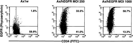 Fig. 2. Representative result of two-color flow cytometric analysis of enriched CD34+ PB cells after 60 hours of infection with the Ax1w (mock vector) or Ax/hEGFR virus at an MOI of 250 or 1,000 pfu/cell. Enriched CD34+ PB cells (purity, 86.2%) were cultured with each adenovirus vector in a serum-free medium in the presence of cytokines. After 60 hours of infection, cells were double-stained simultaneously and analyzed as described in the Materials and Methods.