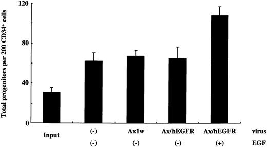 Fig. 5. Generation of total progenitors after infection and liquid culture of sorted 200 CD34+ cells. One-milliliter cultures were initiated with 1.0 × 104 sorted CD34+ cells in the StemPro-34 SFM Complete Medium containing IL-6 and SCF in the presence or absence of EGF. These cells were incubated with the Ax1w or Ax/hEGFR virus, and control cells were cultured without adenovirus vectors. After 5 days of incubation, 1/50 of the cells of each fraction were subjected to methylcellulose clonal culture with SCF, IL-6, IL-3, and Epo in triplicate. The data presented are from a single patient, and the mean ± SD of results from three dishes is shown.