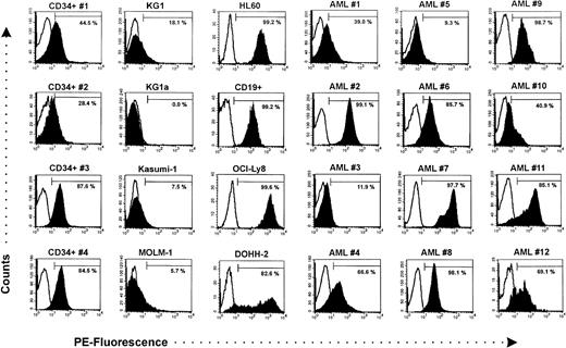 Fig. 1. Analysis of CXCR-4 expression by flow cytometry. The results are shown as fluorescence histograms (solid, CXCR-4 expression; line, respective IgG control). CD34+ hematopoietic progenitor cells from four patients (CD34+ no. 1 through 4) were positive for CXCR-4, while CD34+ cell lines (KG1, KG1a, Kasumi-1, MOLM-1) expressed only low levels. In contrast, variable CXCR-4 expression was found in primary leukemic cells (AML #1 through #12). The cell line HL60, peripheral blood B lymphocytes, and B lymphoma cell lines (OCI-Ly8, DOHH-2) were brightly positive for CXCR-4.