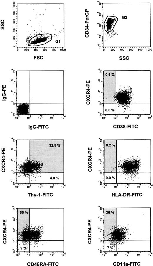 Fig. 2. Coexpression analysis of CXCR-4 and differentiation-related antigens on purified, circulating CD34+ hematopoietic progenitor cells. Results from a representative three-color flow cytometry analysis are shown. After immunomagnetic separation and staining with CD34-PerCP and the respective FITC/PE-labeled antibodies, CD34+ cells were gated in a FSC/SSC and SSC/FL-3 dot plot. Only low SSC/CD34+ cells were further analyzed. Most of the cells of the more primitive subsets (CD34+/CD38−, CD34+/Thy-1+, CD34+/HLA-DR−, CD34+/CD45RA−, CD34+/CD11a−) coexpressed CXCR-4, as indicated by the shaded areas.