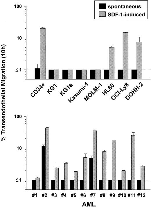 Fig. 3. Transendothelial migration in vitro. A total of 5 × 105 cells (purified PB CD34+ progenitors, different cell lines, or primary leukemic blasts) were added to the upper chamber of the transmigration system. After 10 hours, transmigrated cells recovered from the lower chamber were enumerated. Due to the detection limit of this assay, migration of >1% could be quantified reliably. Spontaneous migration (addition of control medium to the lower chamber) was compared with SDF-1–induced migration (addition of SDF-1–containing conditioned medium to the lower chember). CD34+ progenitors, CD34− leukemic (HL60), and lymphoma (OCI-Ly8, DOHH-2) cell lines showed significant migration, in contrast to CD34+ leukemic cell lines. SDF-1–induced migration of primary AML blasts was variable.