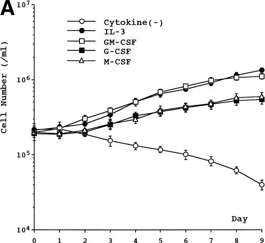 Fig. 2. (A) Growth curve of UG3 cells cultured in the presence or absence of IL-3 (5 ng/mL), GM-CSF (1 ng/mL), G-CSF (10 ng/mL), or M-CSF (100 ng/mL). Cells were enumerated with a hematocytometer after trypan blue dye exclusion. Error bars indicate standard deviation of cell numbers. (B) Growth of UG3 cells cultured in the presence of M-CSF (100 ng/mL) with or without a combination of SCF (100 ng/mL), IL-1 (20 ng/mL), and IL-6 (10 ng/mL). Cells were enumerated with a hematocytometer after trypan blue dye exclusion. Error bars indicate standard deviation of cell numbers. *P < .01 compared with M-CSF. Results are representative of three independent experiments.
