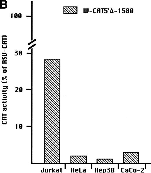 Fig. 1. (A) Expression of the W-CAT5′▵-1,580 construct in human hematopoietic cell lines. Transfections and CAT assays were performed as indicated in Materials and Methods. The amounts of extracts used in CAT assays were normalized based on the values of luciferase activity. PBL3-CAT was used as a negative control. (B) Comparison of the expression of W-CAT5′▵-1,580 in Jurkat cells and nonhematopoietic human cell lines. CAT activity is expressed as a percentage of the values obtained with the strong universal CAT vector, RSV-CAT, in each cell line.