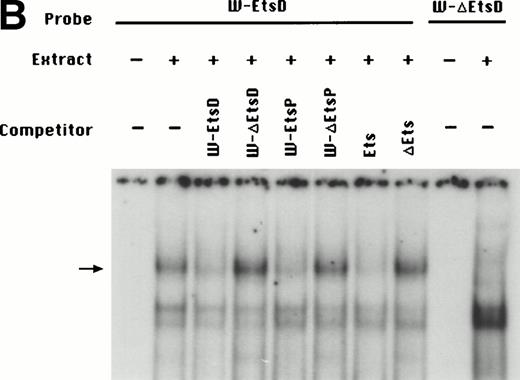 Fig. 4. (A) EMSA assay of wild-type (W-EtsP, lanes 1-8) and mutant (W-▵EtsP, lanes 9-10) oligonucleotides for the WASP proximal Ets binding site with Jurkat nuclear extracts: labeled oligonucleotide was incubated with Jurkat nuclear extracts as detailed in Materials and Methods and competed with a 50-fold molar excess of the competitors indicated. (B) EMSA assay of wild-type (W-EtsD, lanes 1-8) and mutant (W-▵EtsD, lanes 9-10) oligonucleotides for the WASP distal Ets binding site with Jurkat nuclear extracts: labeled oligonucleotide was incubated with Jurkat nuclear extracts as detailed in Materials and Methods and competed with a 50-fold molar excess of the competitors indicated.