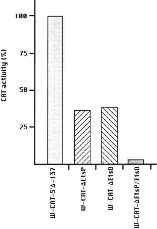 Fig. 6. Transcriptional activity of WASP-CAT mutant constructs bearing mutations in the proximal (W-CAT-▵EtsP), distal (W-CAT-▵EtsD), or in both Ets binding sites (W-CAT-▵EtsP/▵EtsD). CAT activity is expressed as percentage of the wild-type construct, W-CAT-5′▵-137.