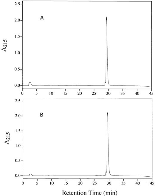Fig. 3. RP-HPLC chromatograms showing the purity of rhAT (A) and phAT (B). Chromatography was performed with 20 μg of protein applied to a Vydac C4 column (2.1 × 250 mm) with a series of linear gradients (see Materials and Methods). Detection was by absorbance at 215 nm.