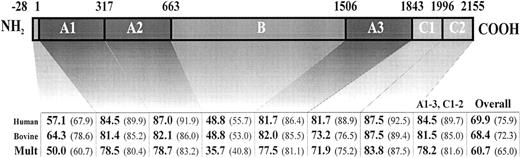 Fig. 2. FV amino acid sequence comparison. The human FV amino acid sequence (“Human”) and the bovine FV amino acid sequences (“Bovine”) were compared pairwise against the murine FV sequence. A multiple comparison of all three sequences simultaneously was also done (“Mult”). All comparisons were performed by the MegAlign computer program (DNASTAR, Madison, WI), using the Clustal method. The numbers on the top of the bar indicate the domain boundaries in murine FV, deduced from sequence comparison with the human and bovine proteins. Values for each domain are the percentage amino acid identity, with the percentage amino acid similarity in parentheses.