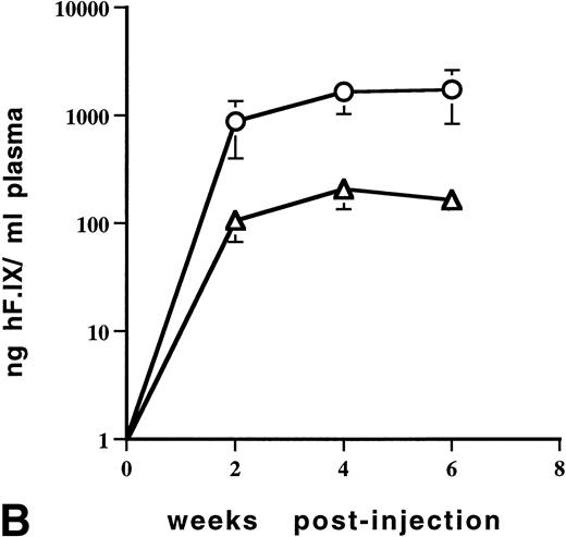 Fig. 5. Levels of human F.IX in plasma of adult C57BL/6 mice as a function of time after portal vein injection of rAAV vector. (A) Mice were injected with 1 × 1011 vector particles of AAV-CMV-F.IX (□) or 6.3 × 1010 particles of AAV-EF1α-F.IX (▵ and ○). Each line represents an individual animal. (B) Mice were injected with 5.5 × 1010 particles (▵, n = 4) or 2.7 × 1011 particles (○, n = 4) of AAV-EF1α-F.IX. Each line represents the average of four mice. Vertical bars are the standard deviation.