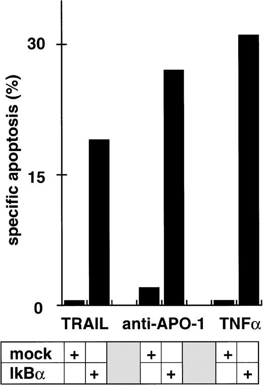 Fig. 3. Increase in apoptosis sensitivity of CEM cells by inhibition of NFκB activation. (A) CEM cells were incubated with TRAIL in the concentrations indicated in the presence (•) or absence (○) of LLnL (2.5 μmol/L, 1 hour of preincubation) for 24 hours. Apoptosis was measured using forward side scatter analysis in FACScan. Data are the mean of duplicates with a standard deviation less than 10%. Similar results were obtained in five independent experiments. (B) Jurkat cells were treated as in (A) using LLnL at 6.25 μmol/L. Data are the mean of duplicates with a standard deviation less than 10%. Similar results were obtained in two independent experiments. (C) BJAB cells, either mock-transfected (○, •) or overexpressing a dominant negative FADD mutant protein (□, ▪) were treated as in (A) using LLnL at 25 μmol/L. Data are the mean of duplicates with a standard deviation less than 10%. Similar results were obtained in two independent experiments. (D) CEM cells (3 × 107) were transfected with 20 μg of empty vector pPRB or pPRB containing the cDNA for mutant IκBα (serines on position 32 and 36 were replaced by alanines) and cotransfected with 2 μg of pEGFP. After 48 hours, living cells were separated by Ficoll gradient and stimulated with different concentrations of TRAIL for another 24 hours. Apoptosis was measured by forward side scatter analysis in FACScan cytometer gating on GFP-positive cells. Specific apoptosis was calculated using as control unstimulated, GFP-positive cells transfected with mock or IκBα, respectively. Data are the mean of triplicates with a standard deviation less than 10%. Similar results were obtained in two independent experiments. (E) CEM cells were transfected as in (D) and subsequentially stimulated with TRAIL (0.03 μg/mL), anti–APO-1 (0.3 μg/mL), or TNFα (0.3 μg/mL) for another 24 hours. Specific apoptosis was calculated as in (D). Data are the mean of triplicates with a standard deviation less than 10%. Similar results were obtained in three independent experiments. Similar results were obtained using Jurkat cells.
