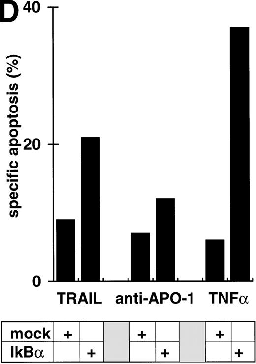 Fig. 4. Abrogation of apoptosis resistance in CEM-R cells by inhibition of NFκB activation. (A) CEM and CEM-R cells were stimulated with TRAIL (0.3 μg/mL) or PMA (50 ng/mL)/Ionomycin (2 μg/mL) (P/I) for 30 minutes and EMSA was performed. Similar results were obtained in two independent experiments. (B) CEM-R cells were stimulated with TRAIL at the concentrations indicated in the presence (•) or absence (○) of LLnL (1.5 μmol/L, 1 hour of preincubation). After 12 hours, apoptosis was measured by forward side scatter analysis and specific apoptosis was calculated. Data are the mean of duplicates with a standard deviation less than 10%. Similar results were obtained in three independent experiments. (C) CEM-R cells were incubated with doxorubicin in concentrations indicated in the presence (•) or absence (○) of LLnL (1.5 μmol/L, 1 hour of preincubation) for 48 hours. Apoptosis was measured as in (A). Data are the mean of duplicates with a standard deviation less than 10%. Similar results were obtained in three independent experiments. (D) CEM-R cells (5 × 107) were transfected as in (Fig 3D). Stimulation was performed using TRAIL (1 μg/mL), anti–APO-1 (0.01 μg/mL), or TNFα (0.3 μg/mL) and apoptosis was measured after 12 hours of incubation. Data are the mean of duplicates with a standard deviation less than 10%. Similar results were obtained in two independent experiments.