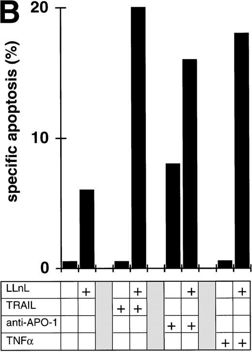 Fig. 5. Attenuation of apoptosis resistance in primary leukemia cells by inhibition of NFκB activation. (A) Primary leukemia cells of 6 patients with acute leukemias were obtained from bone marrow at the time of diagnosis and separated by Ficoll gradient centrifugation. Cells were treated with TRAIL (1 μg/mL) in the presence or absence of LLnL (1 hour of preincubation, untoxic dosis, respectively, for each patient, 4 to 25 μmol/L) for 6 to 12 hours (spontaneous apoptosis <35%) and apoptosis was measured by forward side scatter analysis in FACScan flowcytometer. Data are the mean of duplicates with a standard deviation less than 10%. (B) Primary bone marrow leukemia cells of a patient with common ALL were obtained as in (A). Cells were stimulated with TRAIL (1 μg/mL), anti–APO-1 (1 μg/mL) in the presence of protein A (5 ng/mL), or TNFα (0,3 μg/mL) for 6 hours in the presence or absence of LLnL (4.25 μmol/L, 1 hour of preincubation), and apoptosis was measured as in (A). Data are the mean of duplicates with a standard deviation less than 10%. Similar results were obtained in two patients.