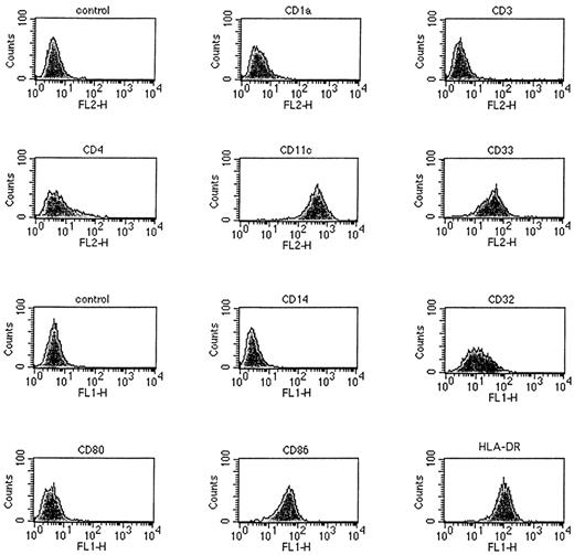 Fig. 1. Surface phenotype of metrizamide gradient-separated DC detected by a panel of antihuman FITC- or PE-labeled antibodies and FACS analysis. DC were generated from PBMC cultured for 14 days in XVIVO-15 serum-free medium containing GM-CSF and IL-4. The x-axis is a logarithmic scale of fluorescence intensity and the y-axis represents counts. DC showed high-level expression of MHC class II (HLA-DR), CD86, and CD11c molecules.