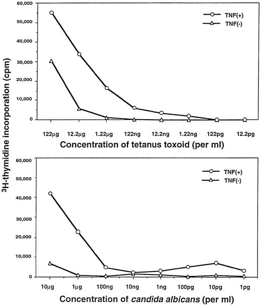 Fig. 5. TNFα-treated DC possess enhanced antigen-presenting function. Proliferative responses of purified autologous CD4+ T cells to different concentrations of soluble antigens presented by autologous DC were measured at day 6. Non–TNFα-treated or TNFα-treated DC were pulsed with either TT (upper) or CAD (lower), as described in the Materials and Methods. The background cpm of the proliferative response in the absence of antigens pulsed on DC (ie, unpulsed DC plus CD4+ T cells or the autologous MLR; upper, +TNFα = 5,236 cpm; −TNFα = 942 cpm; lower, +TNFα = 4,102 cpm, −TNFα = 929 cpm) were subtracted. Experiments were repeated five times with similar results.