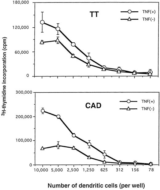 Fig. 6. Fewer numbers of TNFα-treated DC can efficiently present soluble antigens to autologous CD4+ T cells. Purified CD4+ T cells were cultured with different numbers of DC generated in the presence or absence of TNFα. DC were pulsed with 12.2 μg/mL TT (upper) or 10 μg/mL CAD (lower), as described in the Materials and Methods. Proliferative responses were measured on day 6. Experiments were repeated five times with similar results.