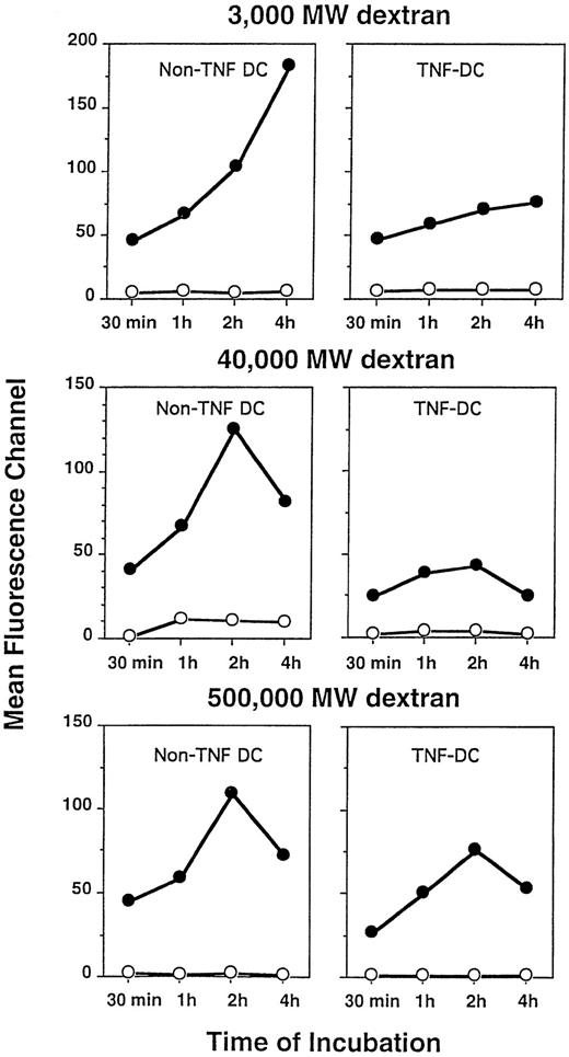 Fig. 7. Phagocytosis of FITC-labeled dextran particles by DC treated with or without TNFα. Although TNFα-treated DC displayed a lower degree of phagocytosis on a per cell basis as measured by fluoresence intensity, the overall percentages of DC capable of dextran particle uptake were equivalent between DC cultured with or without TNFα. DC were incubated for the indicated periods at 4°C (○) or 37°C (•) with FITC-dextran of varying molecular weights. DC were washed free of unbound particles and were then analyzed by FACS, as described in the Materials and Methods. Data are expressed as mean fluorescence channel (MFC) calculated by FACS computer software.