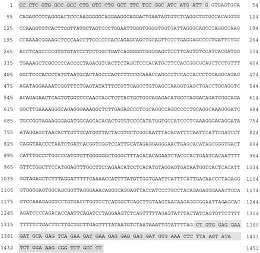 Fig. 6. Genomic nucleotide sequence of the reciprocal translocation on the derivative chromosome 2 in SU-DHL1. The shaded boxes at the 5′ end and at the 3′ end of the sequence contain, respectively, the ALK exon sequence and the NPM exon sequence flanking the breakpoint.