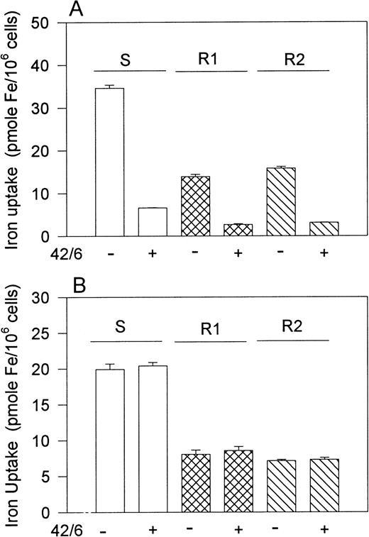 Fig. 5. Effect of anti-TfR MoAb 42/6 on 59FeTf and59Fe-PIH uptake. Cells were plated in serum-free medium containing either 59Fe-Tf (109 pmole Fe/mL) or59Fe-PIH (245 pmole Fe/mL) with (+) or without (−) 10 μg/mL 42/6. 59Fe uptake by cells was determined after a 24-hour incubation. (A) 59Fe-Tf uptake; (B)59Fe-PIH uptake. Values represent means ± SE (n = 3).