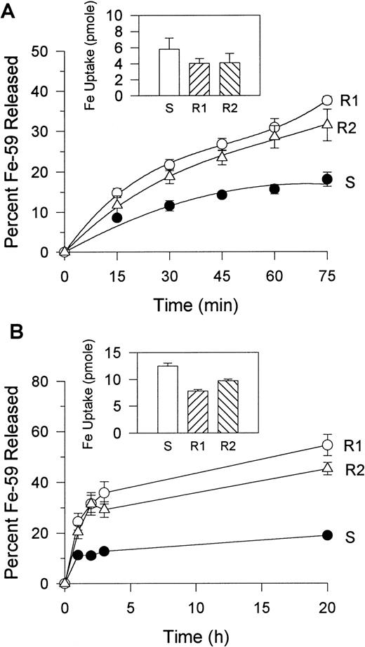 Fig. 6. 59Fe release after 59Fe-Tf uptake. S, R1, and R2 cells were allowed to incorporate59Fe-Tf over 1 or 3 hours and then washed and reincubated in fresh medium. At the specified times, aliquots of cell suspension were harvested and the 59Fe in the medium and cells was counted to determine the percent of 59Fe released from cells to the medium. (A) 59Fe released by cells after a 1-hour uptake. Insert figure shows the amount of 59Fe (pmole Fe/106 cells) taken up by cells over the 1-hour incubation before release. Data represent means ± SE (n = 3). (B) Experimental conditions were similar to (A) except that59Fe release was examined after a 3-hour uptake of59Fe-Tf and the percent 59Fe released was measured over 20 hours. Data represent means ± SE (n = 3). Insert figure shows the amount of 59Fe (pmole Fe/106cells) taken up by cells over the 3-hour incubation before release.