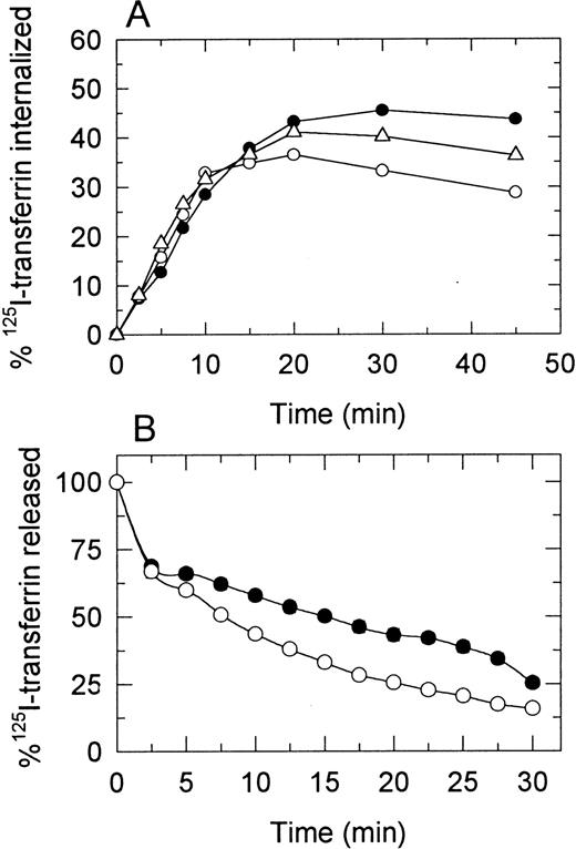Fig. 9. (A) Internalization of 125I-Tf by cells. Cells were incubated with 125I-Tf at 4°C to allow for ligand binding to cell surface TfRs. Cells were washed to remove unbound 125I-Tf and incubated at 37°C to allow for internalization of 125I-Tf. At the specified times, aliquots of cells were removed and centrifuged through an acidic buffer to determine the fraction of 125I-Tf internalized. Data shown are representative of three separate experiments. (•) S; (00) R1; (▵) R2 cells. (B) Release of 125I-Tf from cells. Cells were allowed to incorporate 125I-Tf at 37°C, washed to remove unincorporated radioactivity, and then incubated in serum-free medium containing 100 μg/mL Tf-Fe (nonradioactive). The amount of 125I-Tf released by cells at the specified times was determined as described the text. (•) S; (00) R1 cells. Data represent means ± SE (n = 3). Differences between S and R1 cells after the 5-minute time point are significant (P < .004).