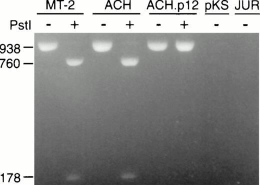 Fig. 3. Conservation of ΔPstI mutation in ACH.p12I-transfectants at time of inoculation shown by PCR amplification of genomic DNA from ACH-, ACH.p12I-, and pKS- (vector control) transfected PBMC, MT-2 (HTLV-1-positive), and Jurkat (HTLV-1-negative) cells. The native (−) or Pst I-digested (+) 938 bp HTLV-1 ORF I/II-specific product is present in HTLV-1-positive cells and lacks the Pst I site corresponding to the ORF I exon 3 splice acceptor site in ACH.p12I-transfectants.
