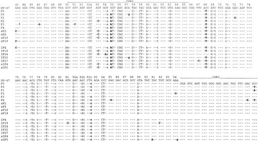Fig. 4. Intraclonal Ig sequence variations in case 1. Identity with the germline sequence is shown by dashes, replacement mutations are shown by uppercase letters, and silent mutations are shown by lowercase letters. Sequence variations are highlighted in bold. The primer sequences are not included. F, follicular neoplastic B cells; IF, interfollicular neoplastic B cells. s prefix indicates clones analyzed from a separate tissue block; and * indicates nucleotide deletions.