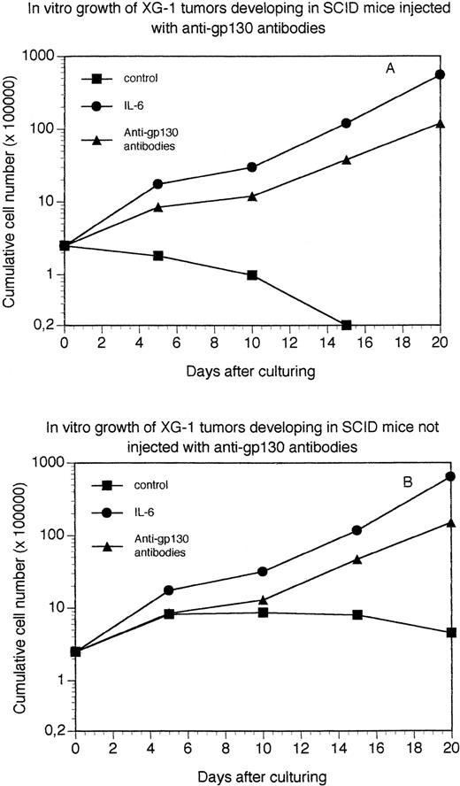 Fig. 5. Growth of XG-1 tumor cells in vitro. Tumors growing in SCID mice grafted with XG-1 cells and injected (A) or not (B) with agonist anti-gp130 MoAbs were put in suspension and viable cells were cultured at a concentration of 2.5 × 105 cells/mL in culture medium supplemented with 10 μg/mL of control murine IgG1 (control), 3 ng/mL of IL-6 (IL-6), or 10 μg/mL of a mixture of the B-S12 and B-P8 anti-gp130 MoAbs (5 μg each; anti-gp130 antibodies). Every 5 days, cells were counted and diluted at the initial cell concentration with fresh culture medium and the initial concentration of cytokine or antibodies. Results are the mean cumulative numbers of cells determined on six different culture wells.