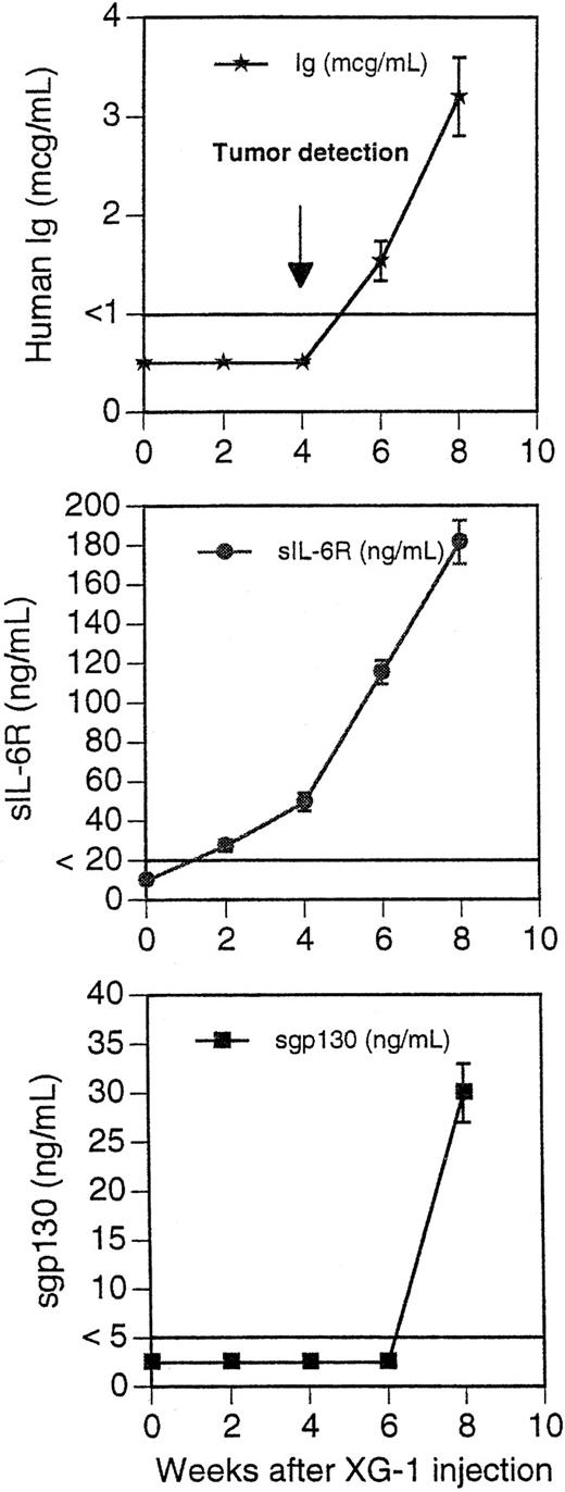 Fig. 6. Blood levels of human Ig, soluble IL-6R, and soluble gp130 in mice grafted with XG-1 cells. Ten mice received IP 100 μg of B-S12 + B-P8 MoAbs (50 μg each) 2 days before graft of 50 × 106 XG-1 cells in matrigel. They then received IP 50 μg of B-S12 + B-P8 MoAbs (25 μg each) every fortnight. Tumors were detected by palpation at the site of inoculation in all mice 4 to 5 weeks after the graft. Blood was collected every 2 weeks and assayed for human Ig, human sIL-6R, and human sgp130. The limit of sensitivity of the ELISA was 1 μg/mL for human Ig, 20 ng/mL for human sIL-6R, and 5 ng/mL for human sgp130. Results are the mean ± SD of the determinations. For some points, the error bars were too small to be visible on the graphs.