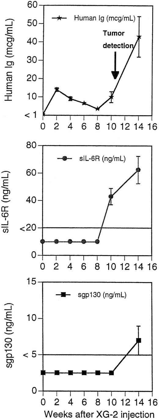 Fig. 7. Concentration of blood murine and human Ig in SCID mice receiving XG-2 cells and anti-gp130 MoAbs. Three mice were injected IP with 50 × 106 XG-2 cells and B1 +I2 anti-gp130 MoAbs. Peripheral blood was harvested 2, 4, 6, 8, 10, and 14 weeks after XG-2-cell inoculation and the concentrations of human Ig, human sIL-6R, and human sgp130 were determined by ELISA. The limit of sensitivity of the ELISA was 1 μg/mL for human Ig, 20 ng/mL for human sIL-6R, and 5 ng/mL for human sgp130. Results are the mean ± SD of the determinations. For some points, the error bars were too small to be visible on the graphs.
